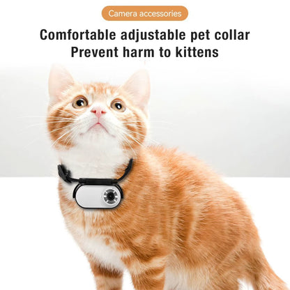 Pet Collar Camera with 120-Degree Lens and OTG Connection for Video Recording - Adjustable Magnetic Cat and Dog Outdoor Camera