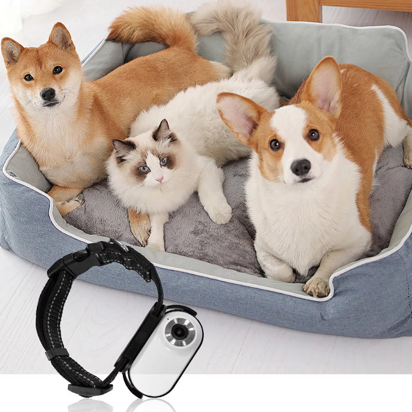 Pet Collar Camera with 120-Degree Lens and OTG Connection for Video Recording - Adjustable Magnetic Cat and Dog Outdoor Camera