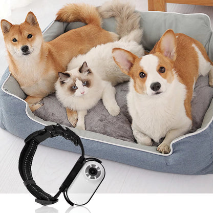 Pet Collar Camera with 120-Degree Lens and OTG Connection for Video Recording - Adjustable Magnetic Cat and Dog Outdoor Camera